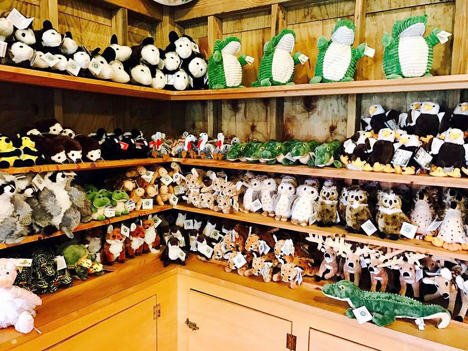Display of stuffed animals