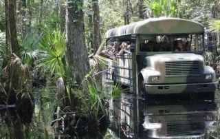Truck going through the Swamp