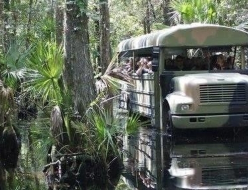 Swamp Buggy 3