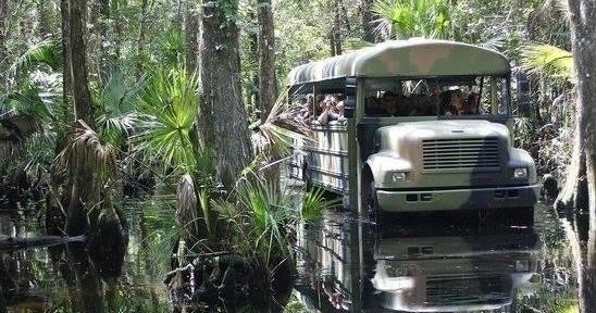 Truck going through the Swamp