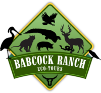 Babcock Ranch Eco-Tours