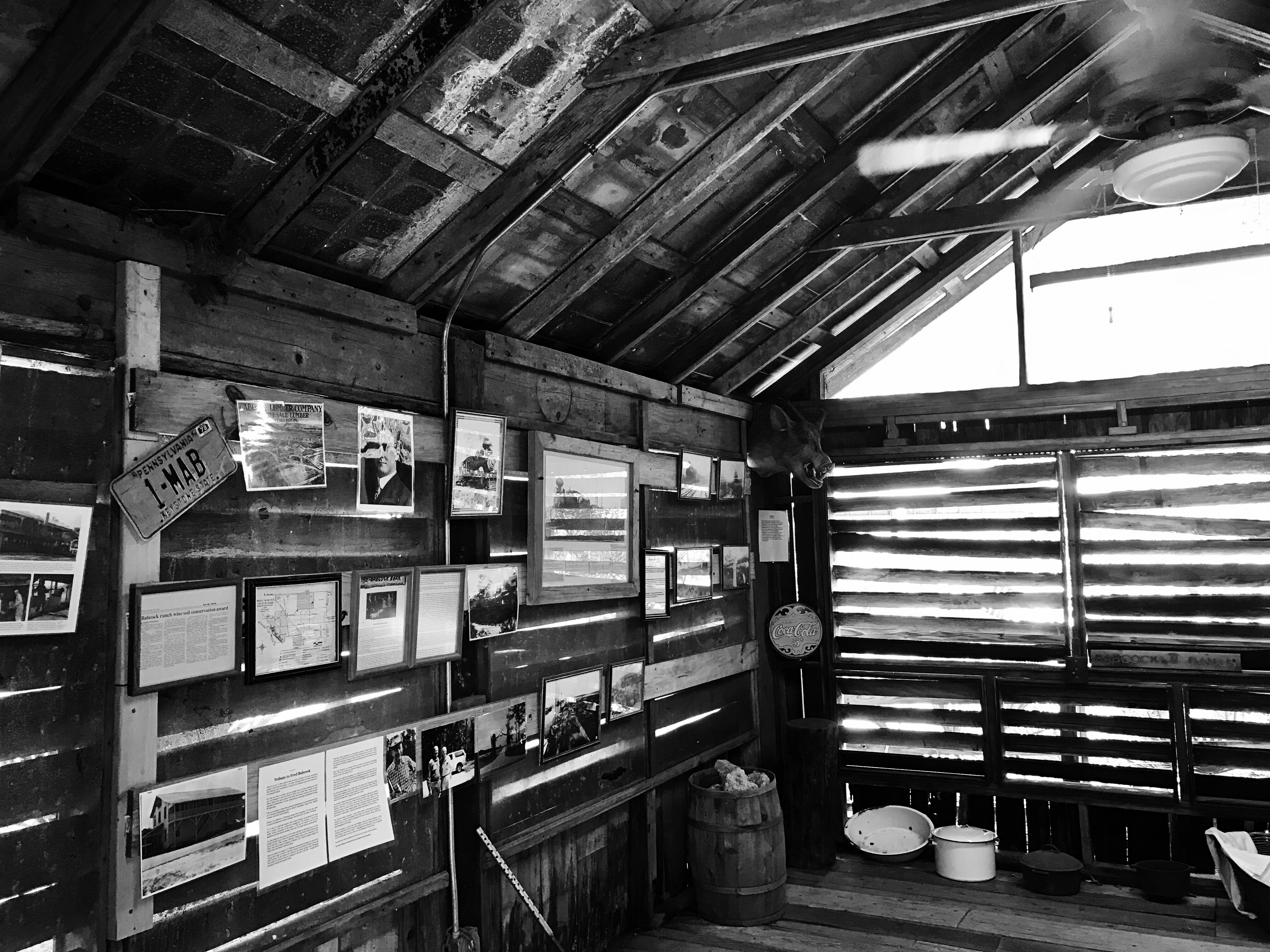 an exhibit of pictures and papers with history facts about Babcock Ranch