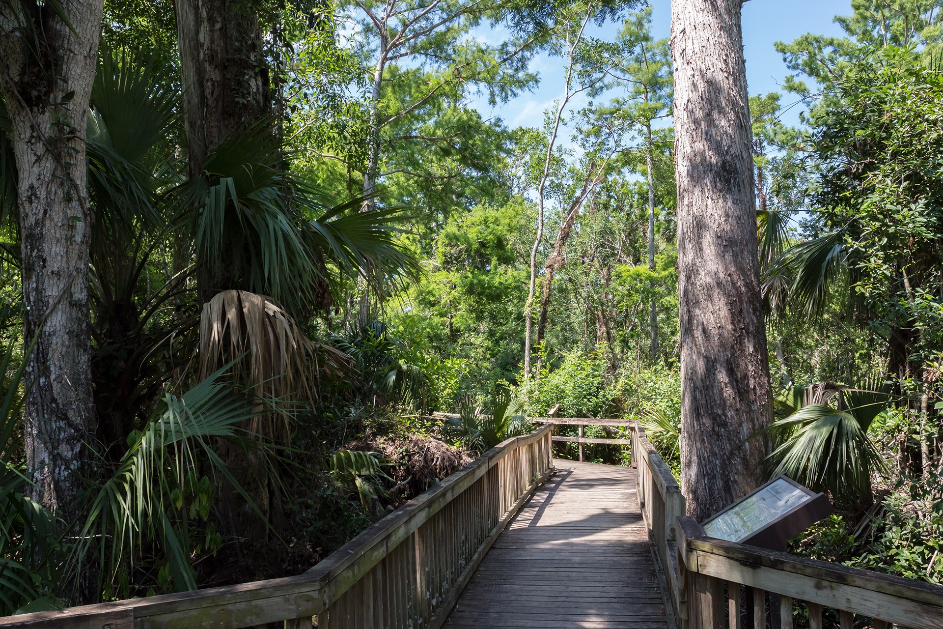 All About Ecotourism in Florida
