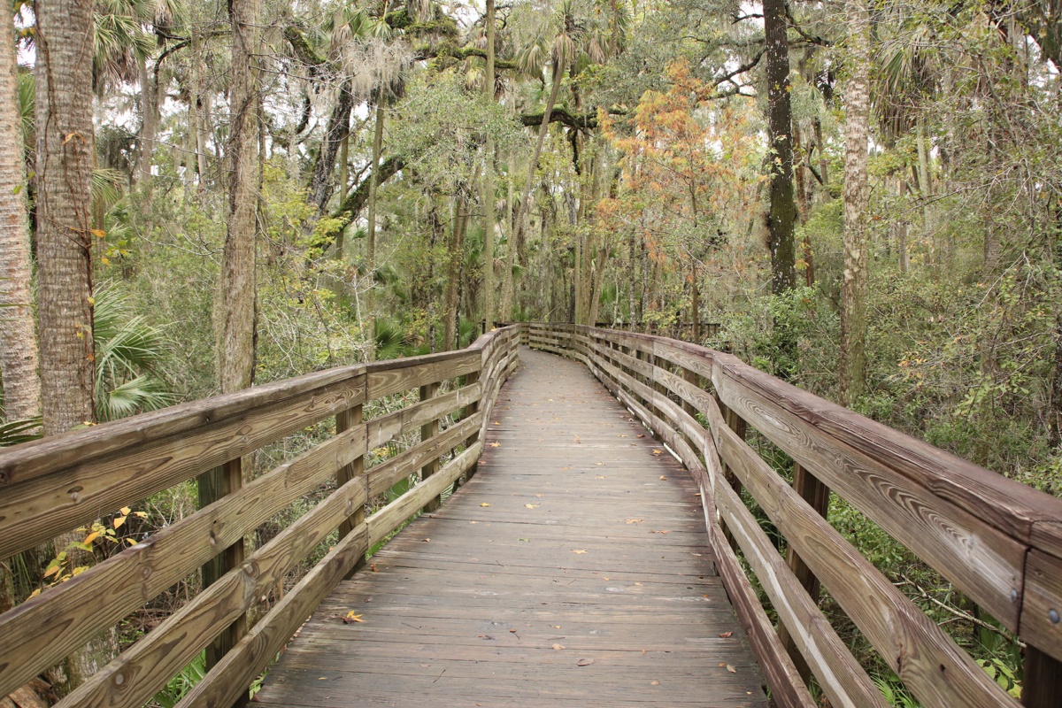 Blog - Babcock Ranch Eco-Tours